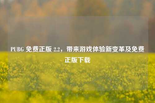 PUBG 免费正版 2.2,带来游戏体验新变革及免费正版下载