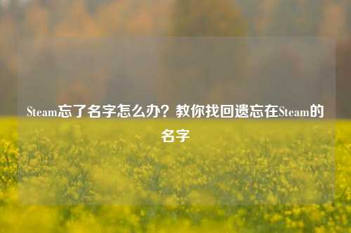 Steam忘了名字怎么办?教你找回遗忘在Steam的名字
