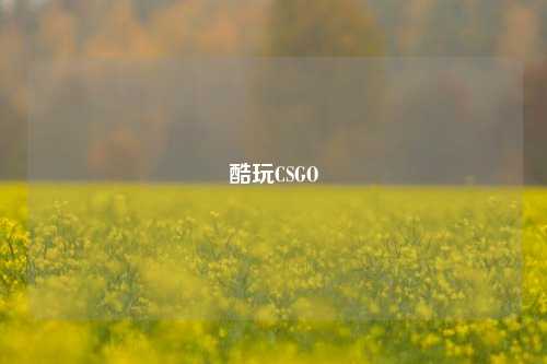 酷玩CSGO