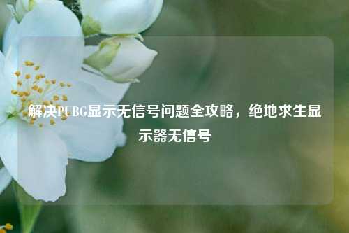 解决PUBG显示无信号问题全攻略,绝地求生显示器无信号