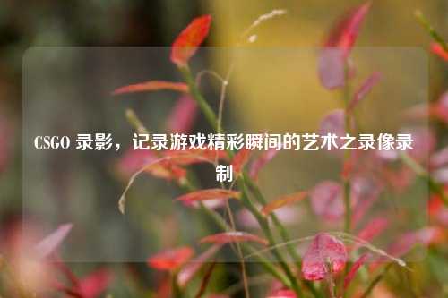 CSGO 录影,记录游戏精彩瞬间的艺术之录像录制