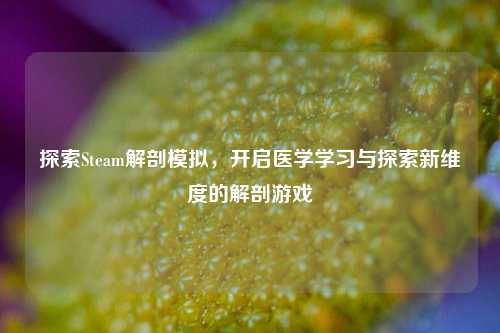 探索Steam解剖模拟,开启医学学习与探索新维度的解剖游戏