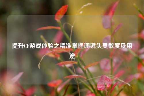 提升CF游戏体验之精准掌握调镜头灵敏度及用途