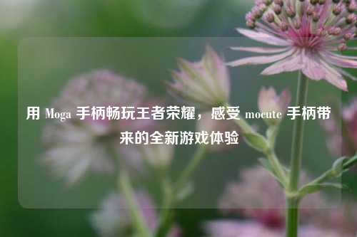 用 Moga 手柄畅玩王者荣耀,感受 mocute 手柄带来的全新游戏体验