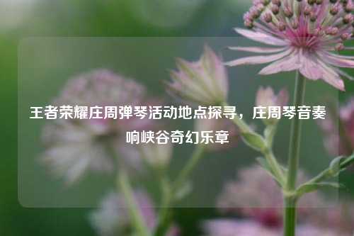 王者荣耀庄周弹琴活动地点探寻,庄周琴音奏响峡谷奇幻乐章