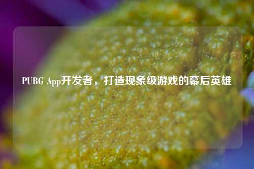 PUBG App开发者,打造现象级游戏的幕后英雄