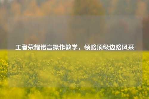 王者荣耀诺言操作教学,领略顶级边路风采