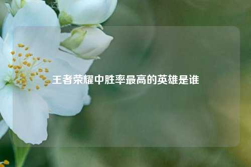 王者荣耀中胜率更高的英雄是谁