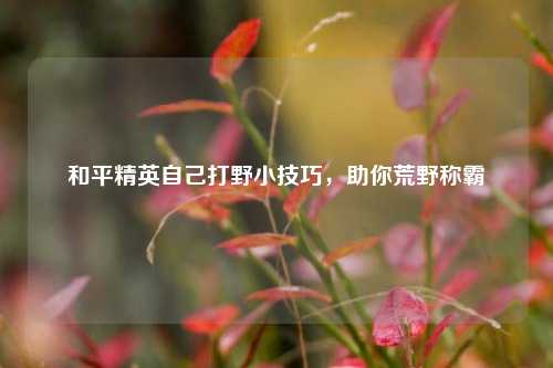 和平精英自己打野小技巧,助你荒野称霸