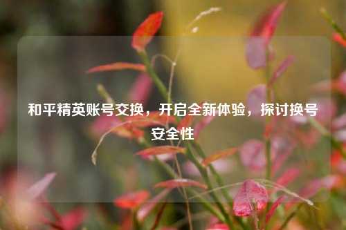 和平精英账号交换,开启全新体验,探讨换号安全性