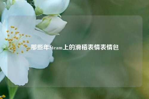 那些年Steam上的滑稽表情表情包