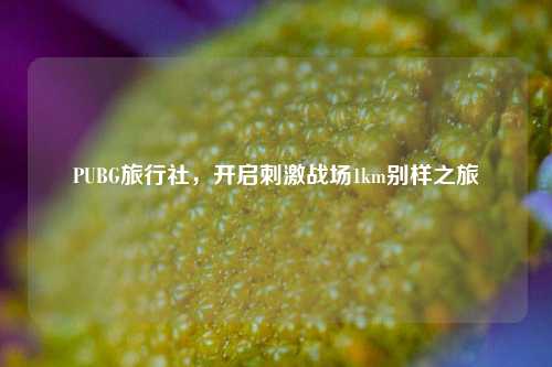 PUBG旅行社,开启 战场1km别样之旅