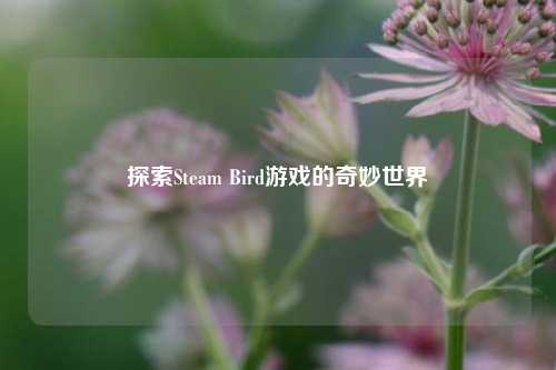 探索Steam Bird游戏的奇妙世界