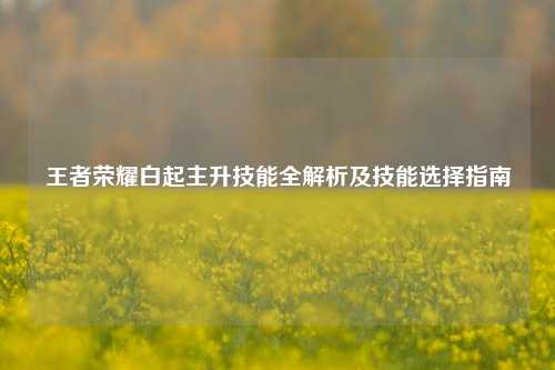 王者荣耀白起主升技能全解析及技能选择指南