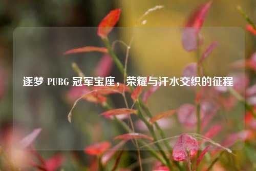 逐梦 PUBG 冠军宝座,荣耀与汗水交织的征程