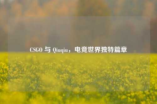 CSGO 与 Qiuqiu,电竞世界独特篇章