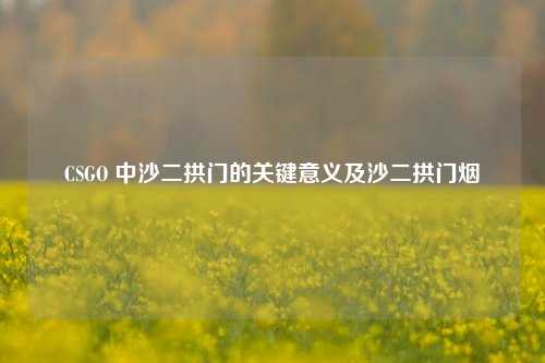 CSGO 中沙二拱门的关键意义及沙二拱门烟