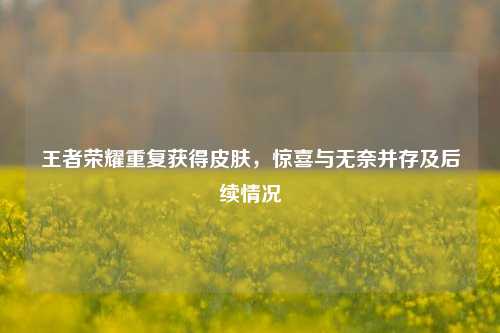 王者荣耀重复获得皮肤,惊喜与无奈并存及后续情况