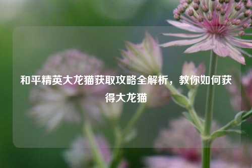 和平精英大龙猫获取攻略全解析,教你如何获得大龙猫