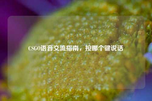 CSGO语音交流指南,按哪个键说话