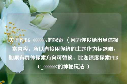 关于PUBG_0000007的探索 (因为你没给出具体探索内容,所以直接用你给的主题作为标题啦,如果有具体探索方向可替换,比如深度探索PUBG_0000007的神秘玩法 )