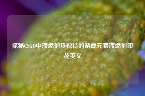 探秘CSGO中液燃剂及独特的游戏元素液燃剂印花英文