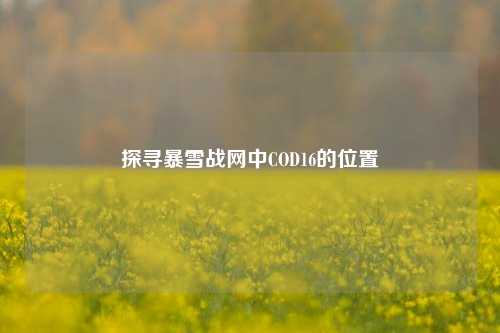 探寻暴雪战网中COD16的位置