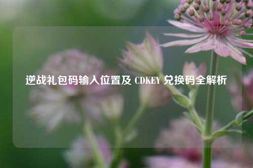 逆战礼包码输入位置及 CDKEY 兑换码全解析