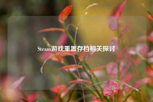 Steam游戏重置存档相关探讨