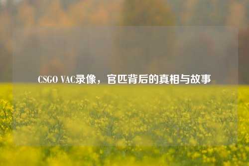 CSGO VAC录像,官匹背后的真相与故事