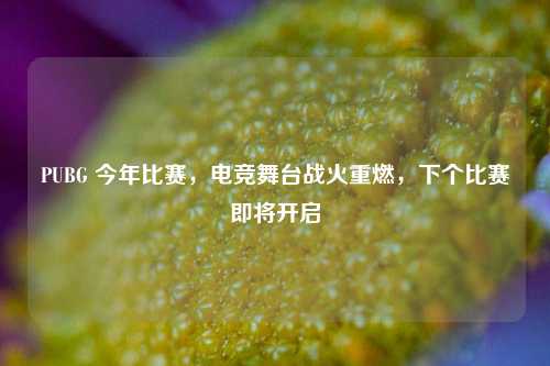 PUBG 今年比赛,电竞舞台战火重燃,下个比赛即将开启