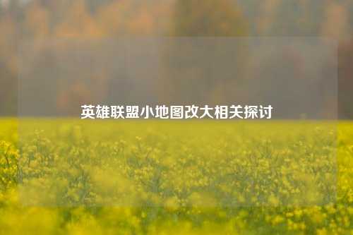 英雄联盟小地图改大相关探讨