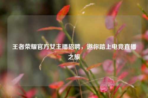 王者荣耀官方女主播 ,邀你踏上电竞直播之旅