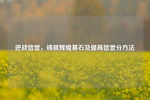 逆战信誉,铸就辉煌基石及提高信誉分