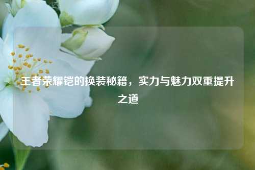 王者荣耀铠的换装秘籍,实力与魅力双重提升之道