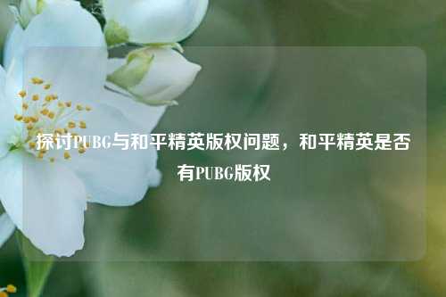 探讨PUBG与和平精英版权问题,和平精英是否有PUBG版权