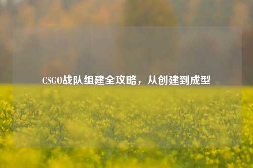 CSGO战队组建全攻略,从创建到成型