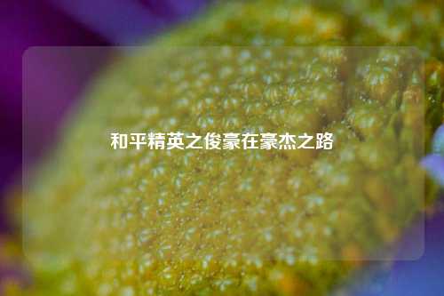 和平精英之俊豪在豪杰之路