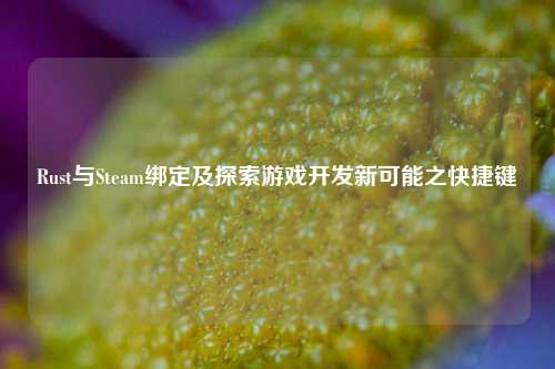Rust与Steam绑定及探索游戏开发新可能之快捷键