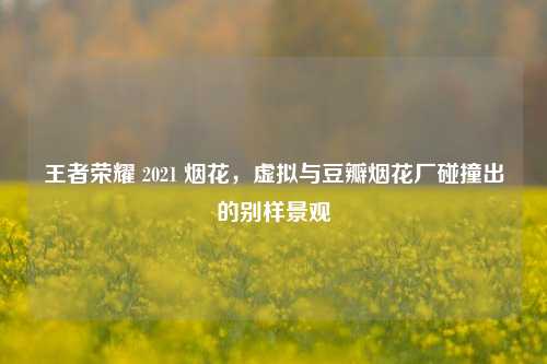 王者荣耀 2021 烟花,虚拟与豆瓣烟花厂碰撞出的别样景观