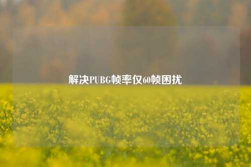 解决PUBG帧率仅60帧困扰