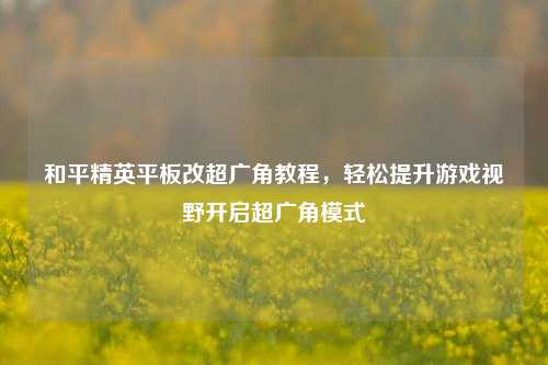 和平精英平板改超广角教程,轻松提升游戏视野开启超广角模式