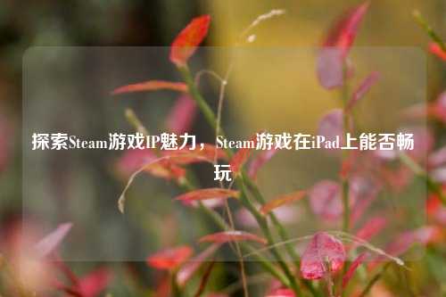 探索Steam游戏IP魅力,Steam游戏在iPad上能否畅玩