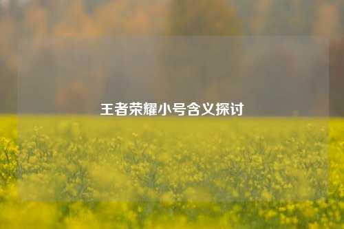 王者荣耀小号含义探讨