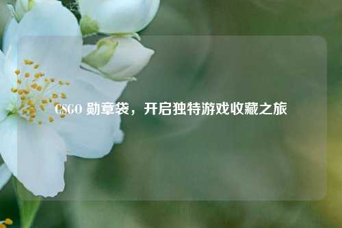 CSGO 勋章袋,开启独特游戏收藏之旅