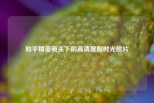 和平精英镜头下的高清度假时光照片
