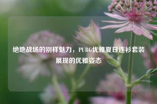 绝地战场的别样魅力,PUBG优雅夏日连衫套装展现的优雅姿态
