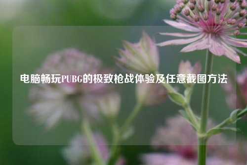 电脑畅玩PUBG的极致枪战体验及任意截图