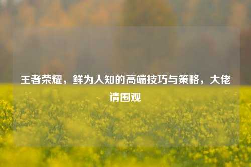 王者荣耀,鲜为人知的高端技巧与策略,大佬请围观