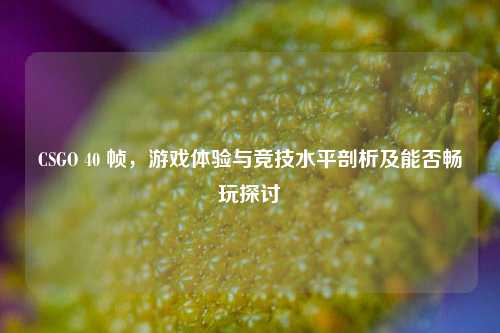 CSGO 40 帧,游戏体验与竞技水平剖析及能否畅玩探讨
